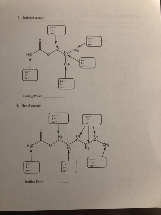 Solved Fischer Esterification Lab Worksheet Complete the | Chegg.com