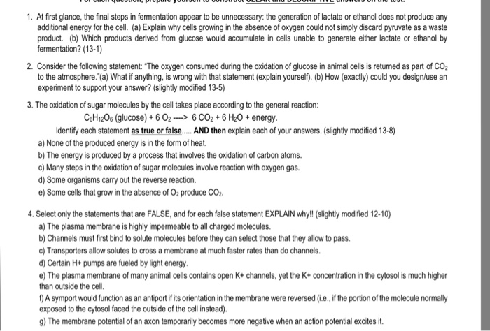 Solved 1. At first glance, the final steps in fermentation | Chegg.com