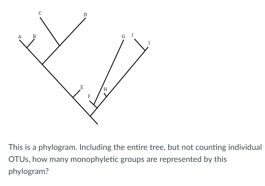 Solved This Is A Phylogram. Including The Entire Tree, But 