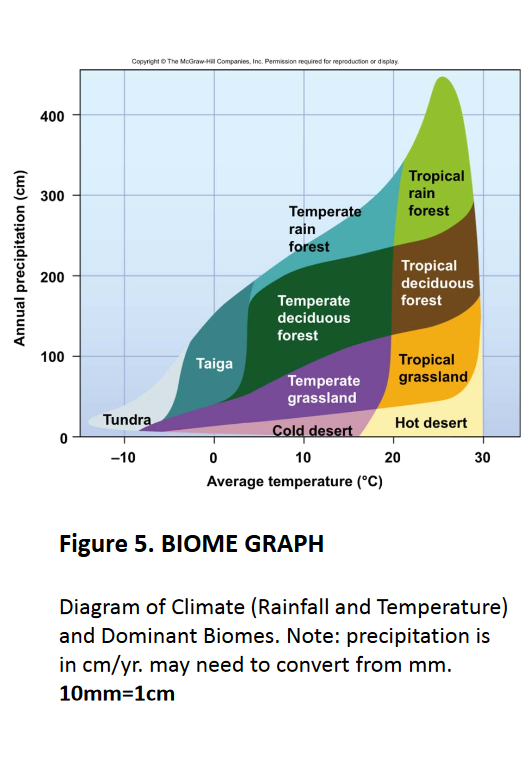 tropical rainforest graph of temperature and precipitation