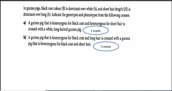 Solved In guinea pigs, black coat (B) is dominant over white