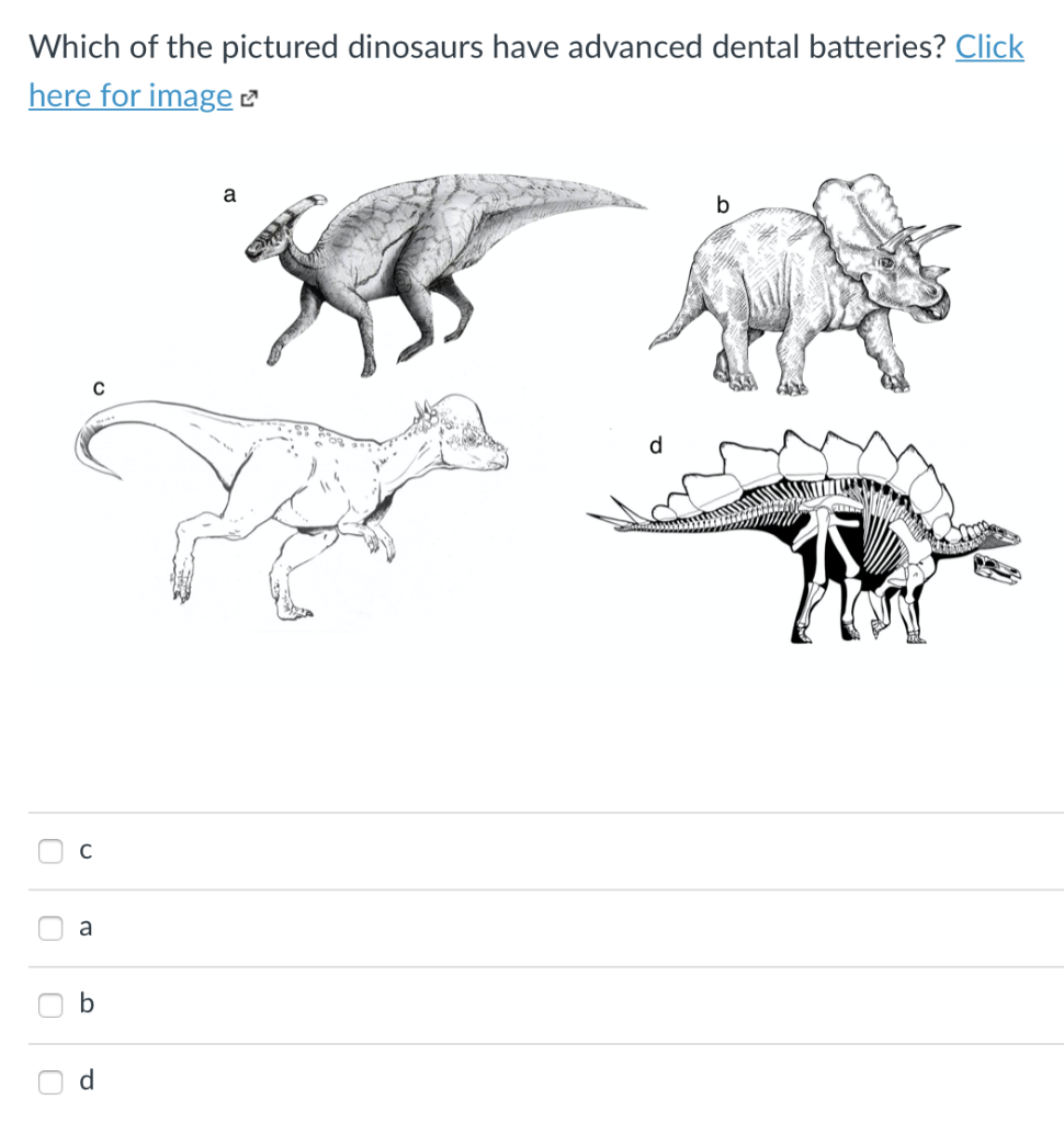 Solved Which of the pictured dinosaurs have advanced dental | Chegg.com