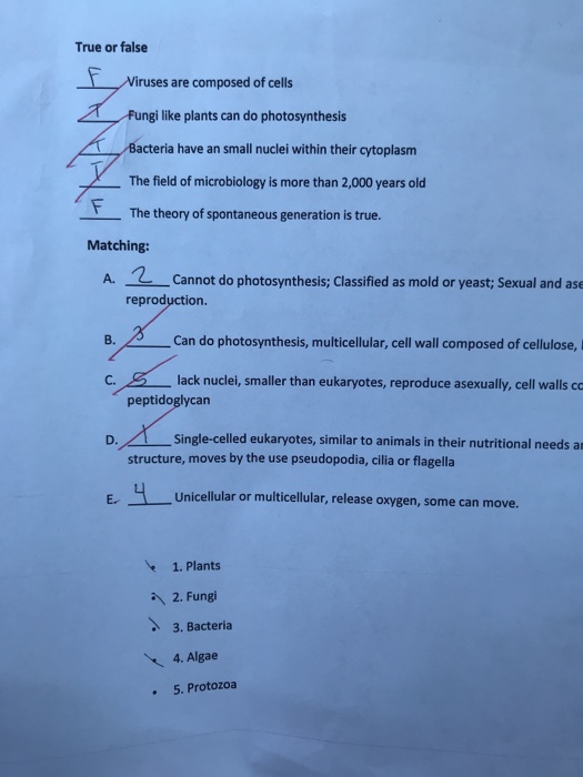 Solved True or false Viruses are composed of cells Fungi