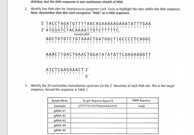 Solved deletion, but the DNA sequence is one continuous | Chegg.com
