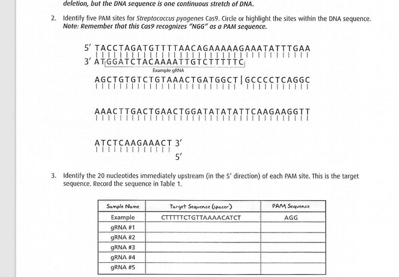 Solved Deletion, But The Dna Sequence Is One Continuous 