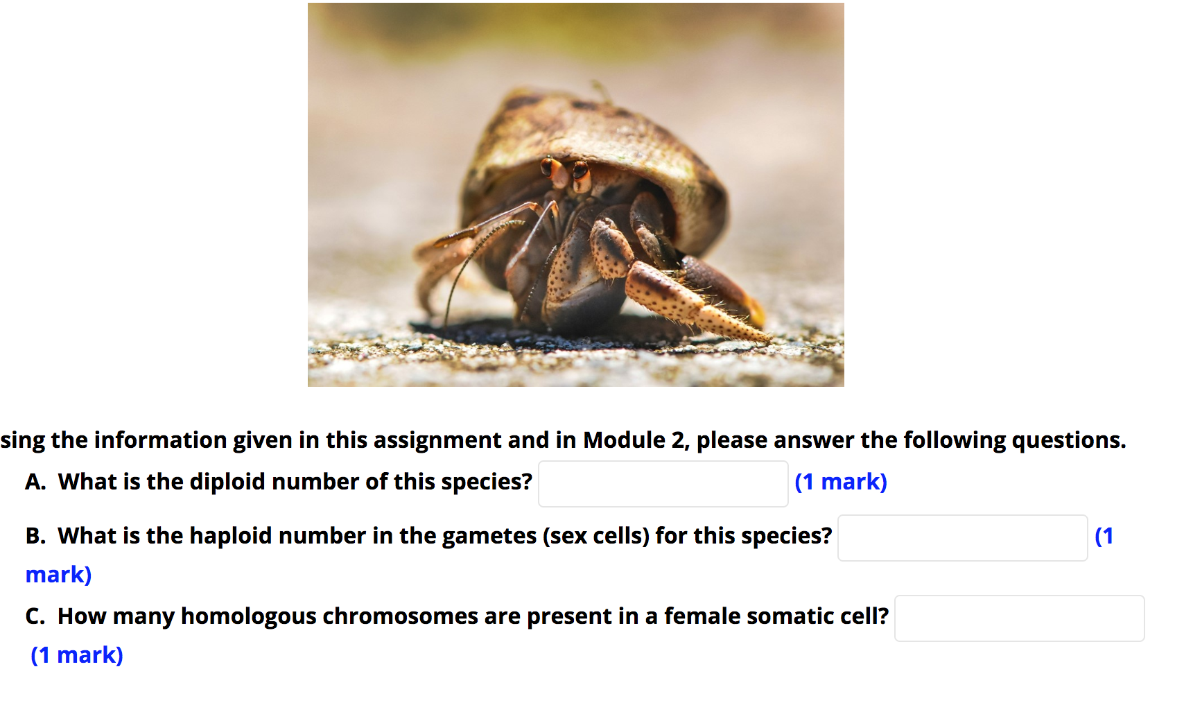 Solved Hermit crabs have the largest number of chromosomes 