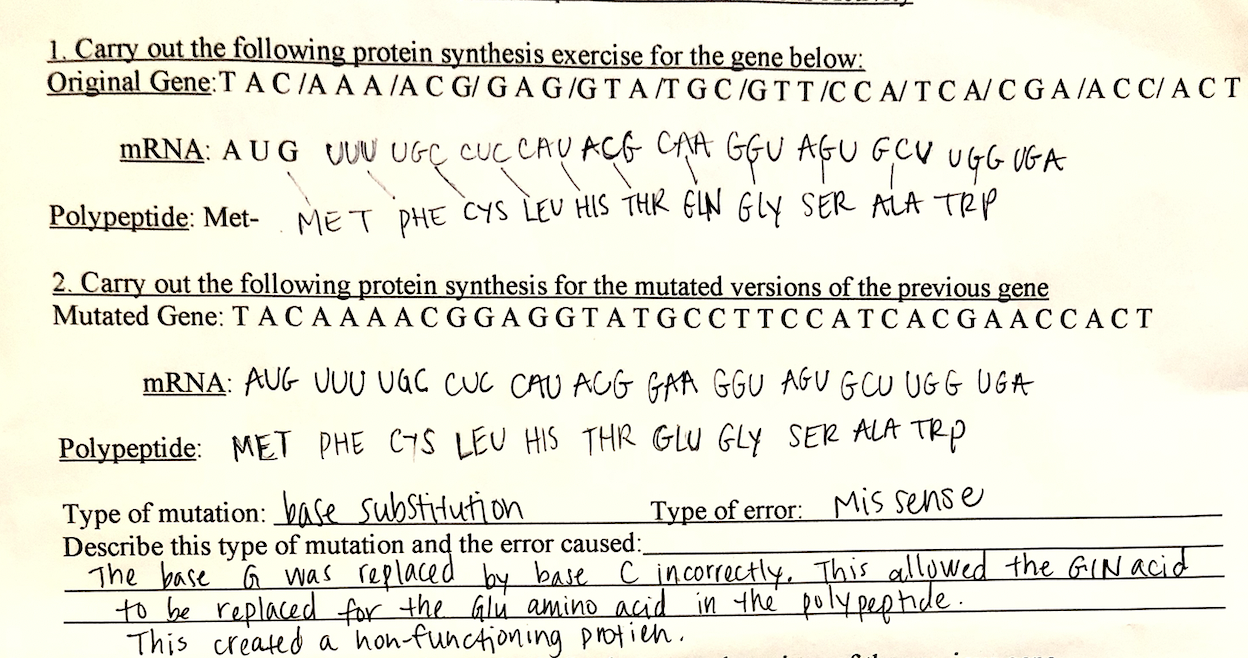 Solved I just need help with the explanations. The options | Chegg.com