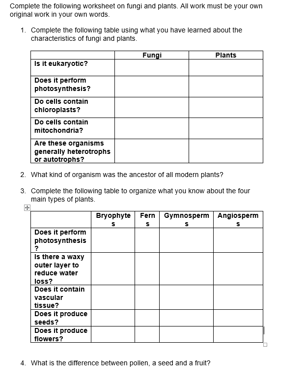 Complete The Following Worksheet On Fungi And Plants Chegg Com