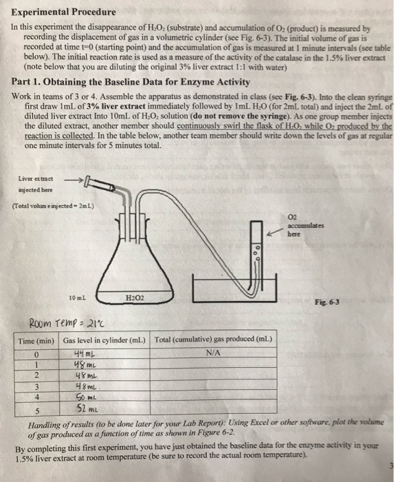 Lab 6: Enzyme Activity-30pts (including online | Chegg.com