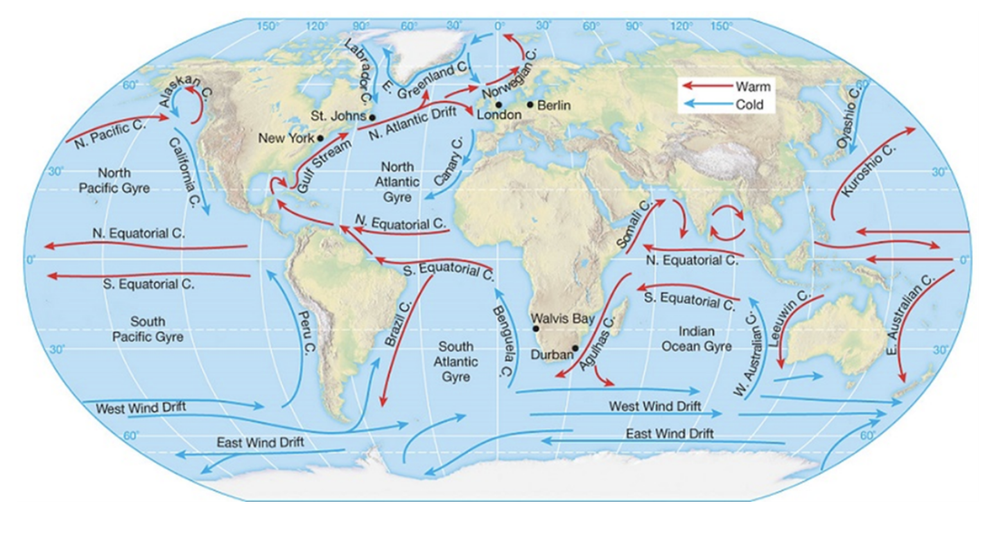 Solved Examine the map of ocean surface currents on the | Chegg.com