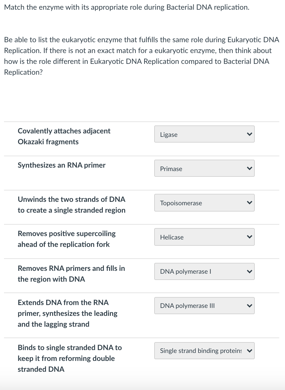 Solved Match the enzyme with its appropriate role during