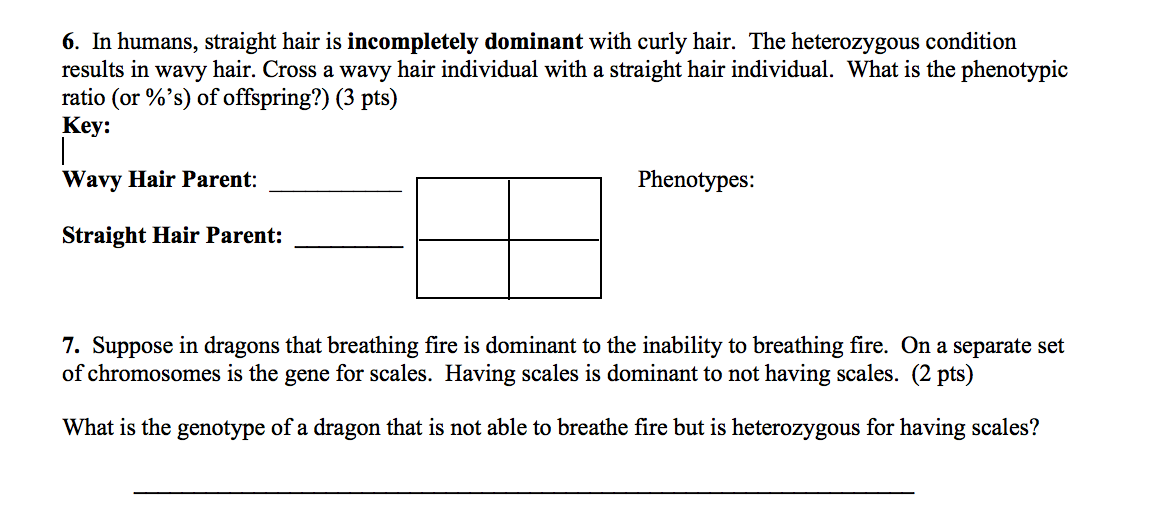 Solved In Humans Straight Hair Is Incompletely Dominant Chegg