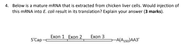 Solved 4. Below is a mature mRNA that is extracted from | Chegg.com