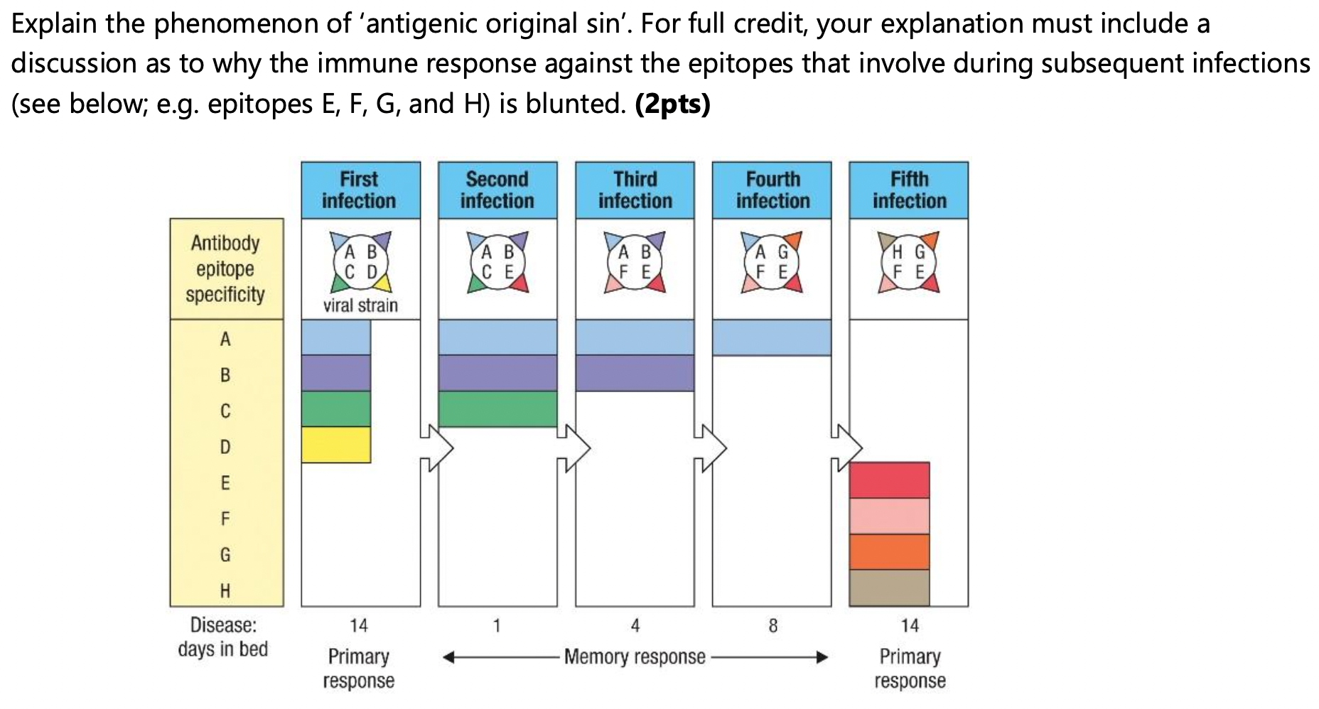 Solved Explain the phenomenon of 'antigenic original sin′.