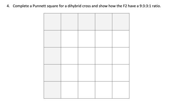 Solved 4. Complete a Punnett square for a dihybrid cross and | Chegg.com