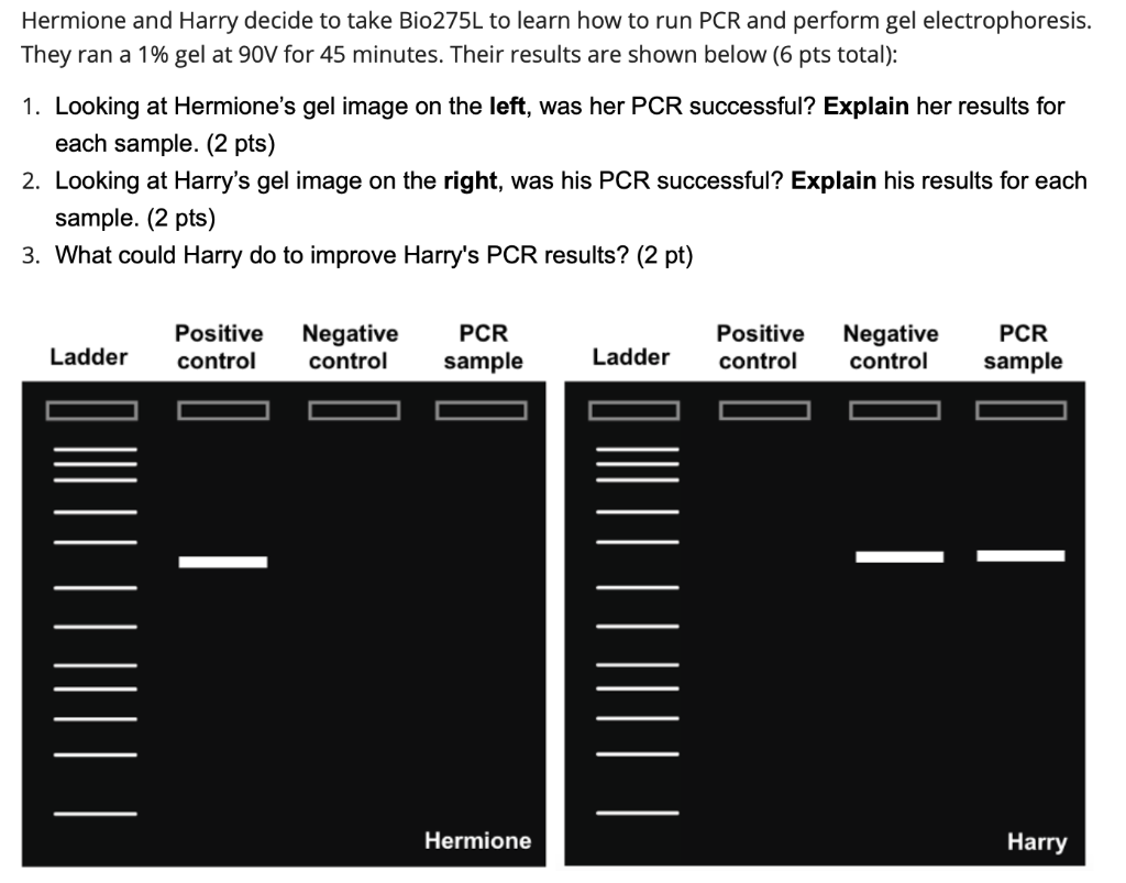 Solved Hermione and Harry decide to take Bio275L to learn