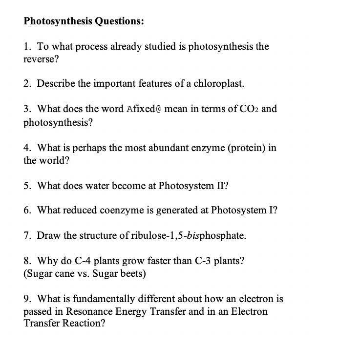 critical thinking question about photosynthesis