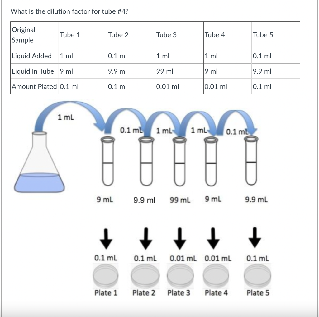 Solved What is the dilution factor for tube \4?