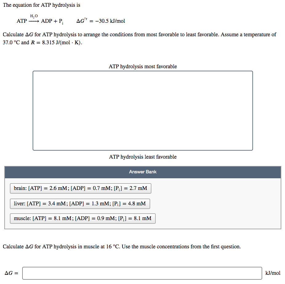 Solved The equation for ATP hydrolysis is HO ATP ADP + P | Chegg.com