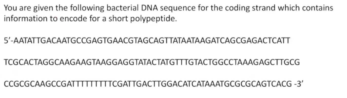 Solved You are given the following bacterial DNA sequence | Chegg.com