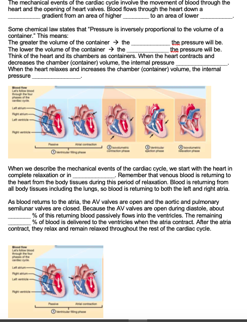 Solved Heart Physiology Study Guide Cardiac Cycle One | Chegg.com