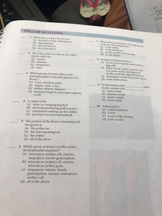 Solved PRE-LAB QUESTIONS 1. Plants that produce flowers are | Chegg.com