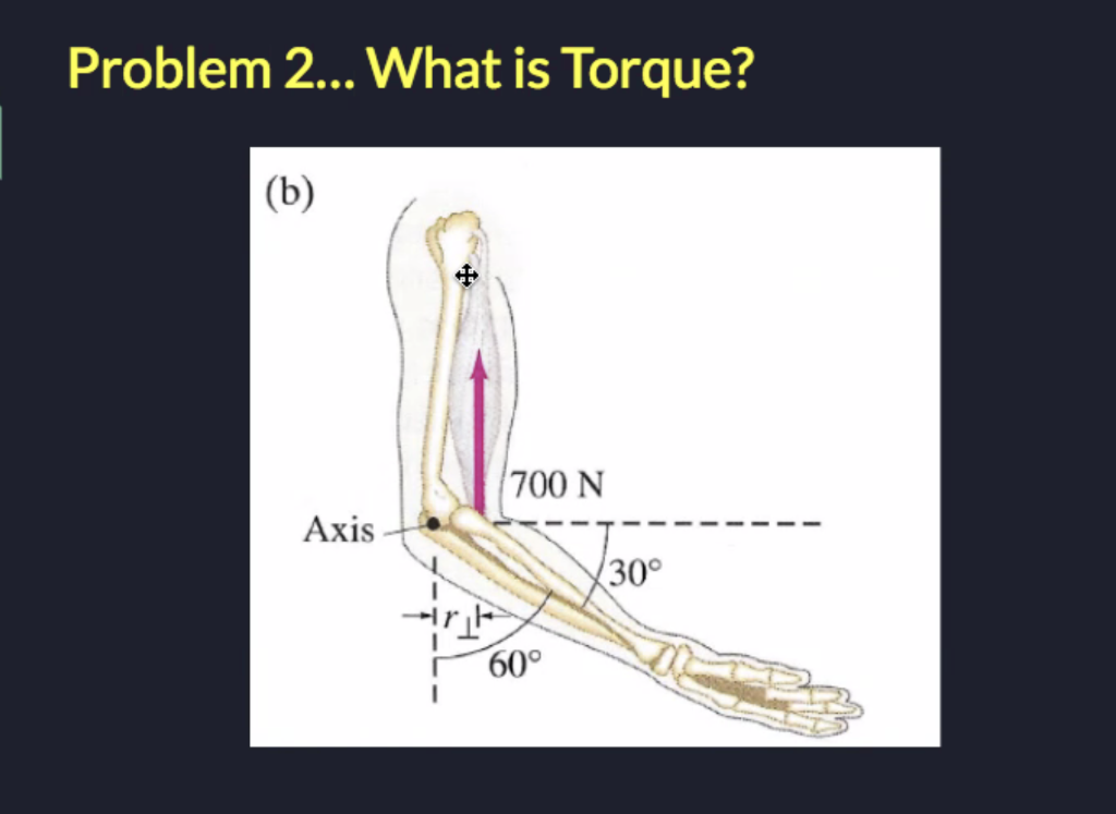 Solved Problem 2... What Is Torque? (b) 700 N Axis 30° + 60° | Chegg.com