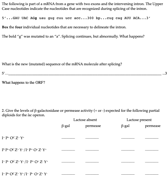 Solved The following is part of a mRNA from a gene with two | Chegg.com