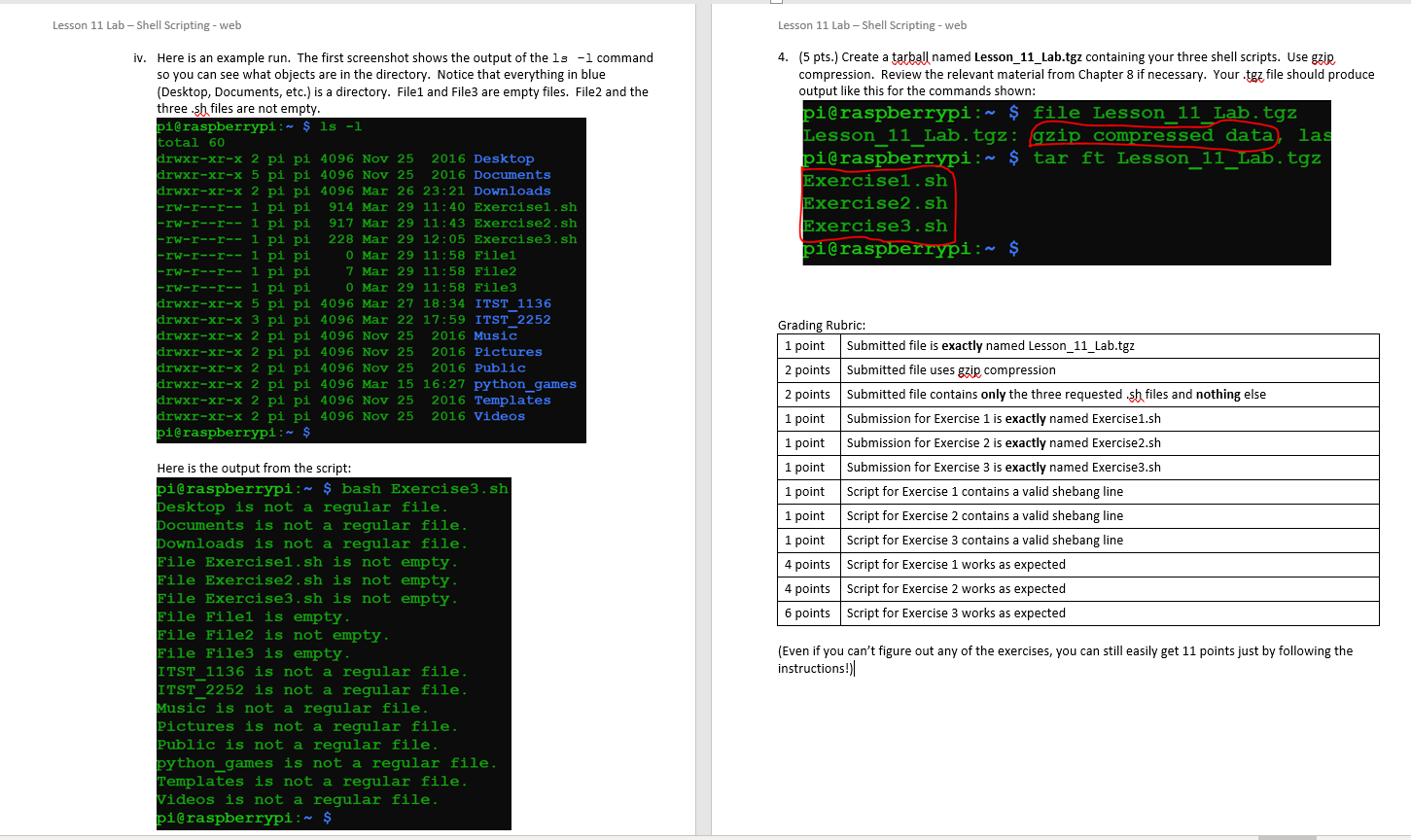 lesson-11-lab-shell-scripting-web-lesson-11-chegg