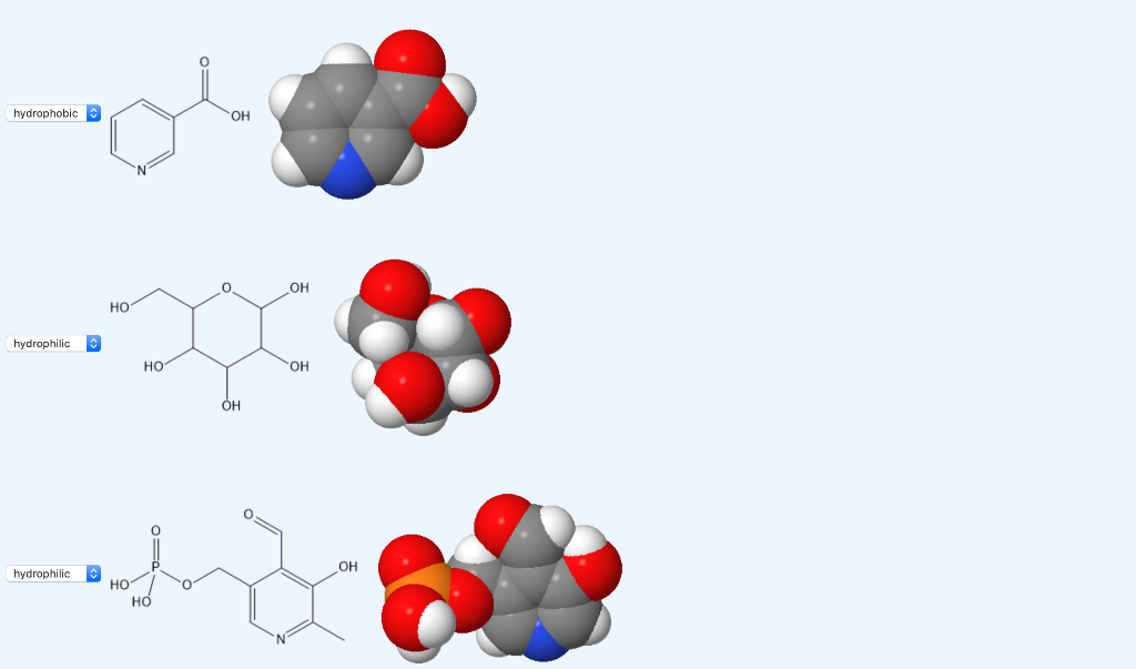 solved-choose-which-substances-are-hydrophobic-and-which-are-chegg