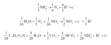 Solved Utilization of anaerobic ammonia oxidation (anammox) | Chegg.com