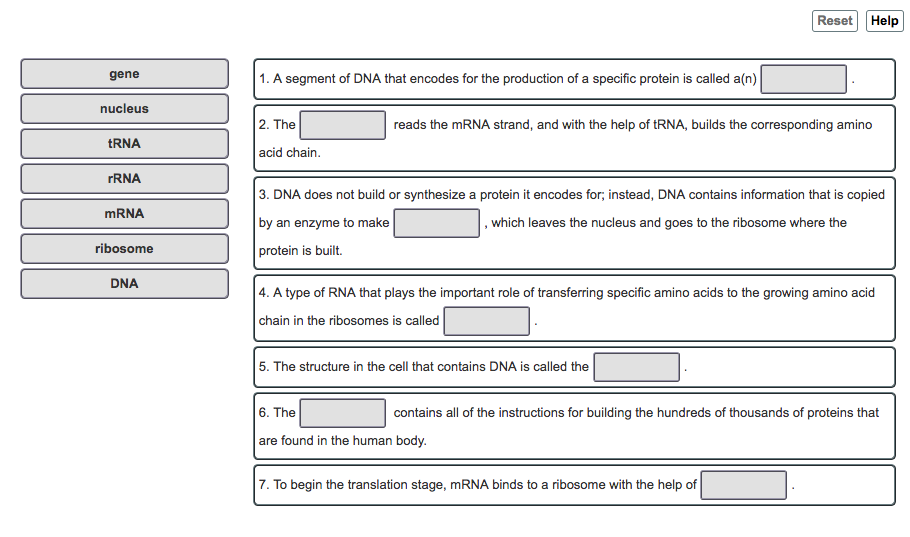 Solved Reset Help gene 1. A segment of DNA that encodes for | Chegg.com