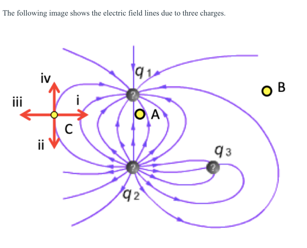 Solved The following image shows the electric field lines | Chegg.com