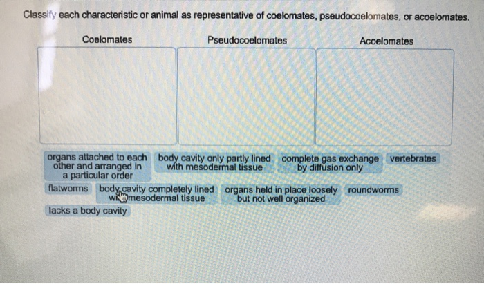 Solved Classify each characteristic or animal as | Chegg.com