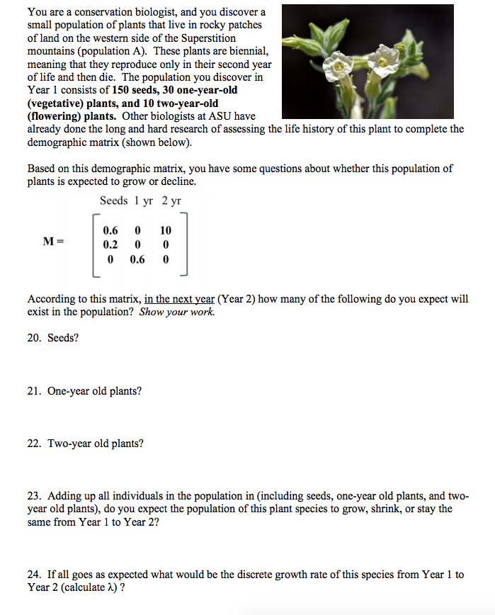 Solved Equations for effective population size 4N N t 3. 2