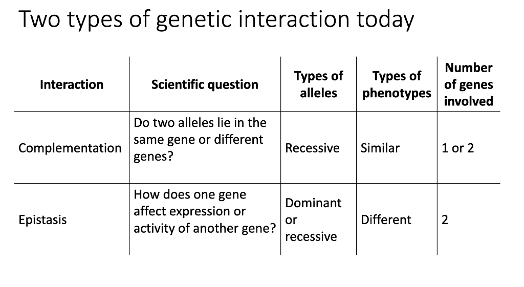 Solved Two types of genetic interaction todayConsider the | Chegg.com
