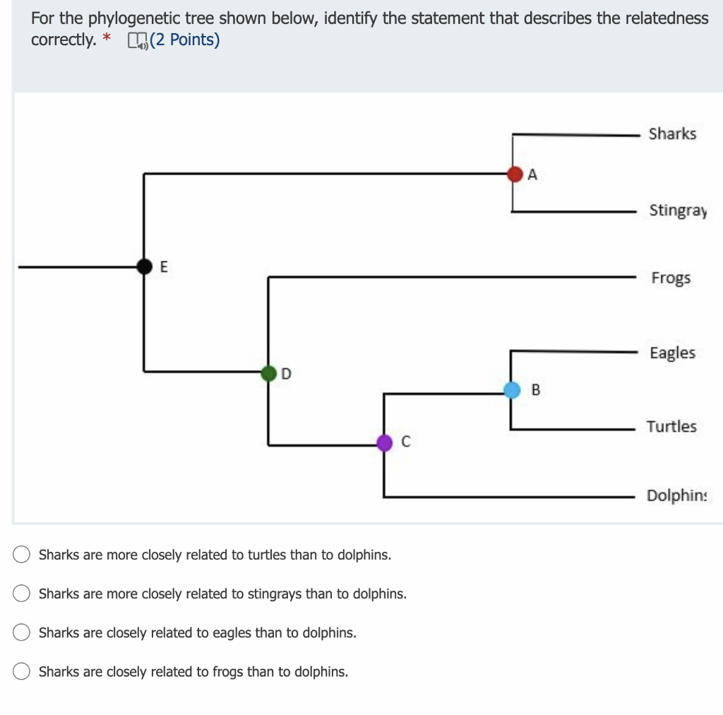 Solved Refer To The Phylogenetic Tree Shown In The Figure. | Chegg.com