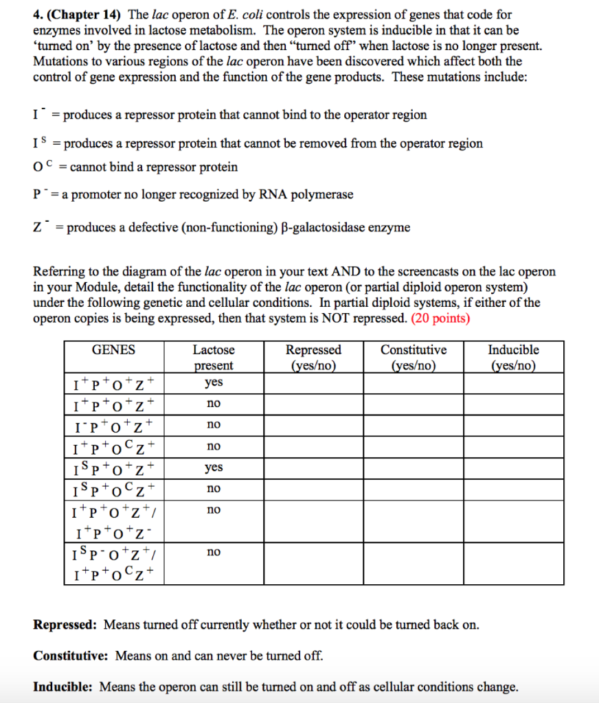 Solved 4. (Chapter 14) The lac operon of E. coli controls | Chegg.com