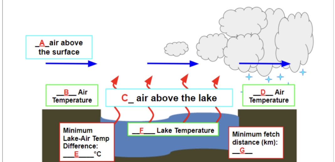 Solved Using The Image Below, Write The Correct Descriptor | Chegg.com