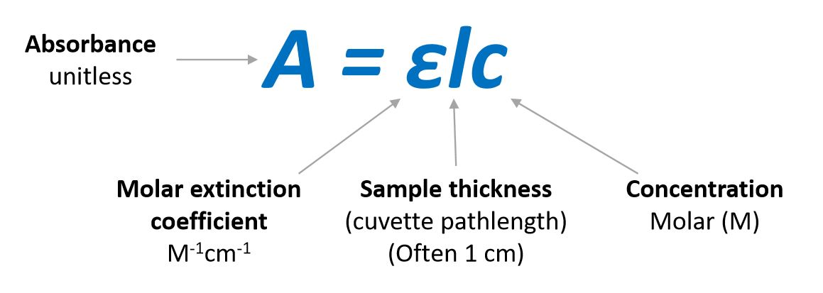 Prepare 100 mL of A420 = 20 KFeCN solution (in H2O) | Chegg.com