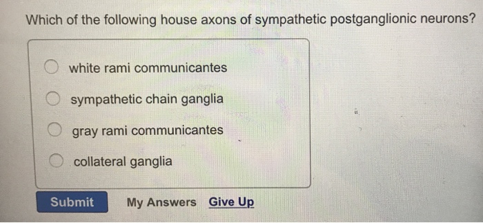 Solved Which of the following house axons of sympathetic | Chegg.com