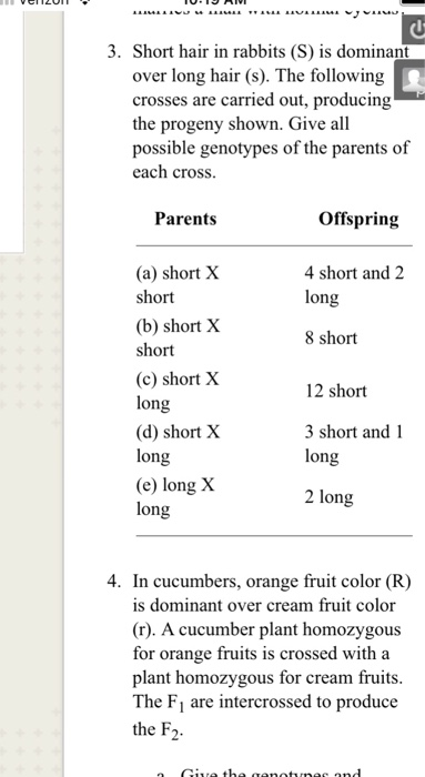 Solved 3. Short hair in rabbits (S) is dominant over long | Chegg.com