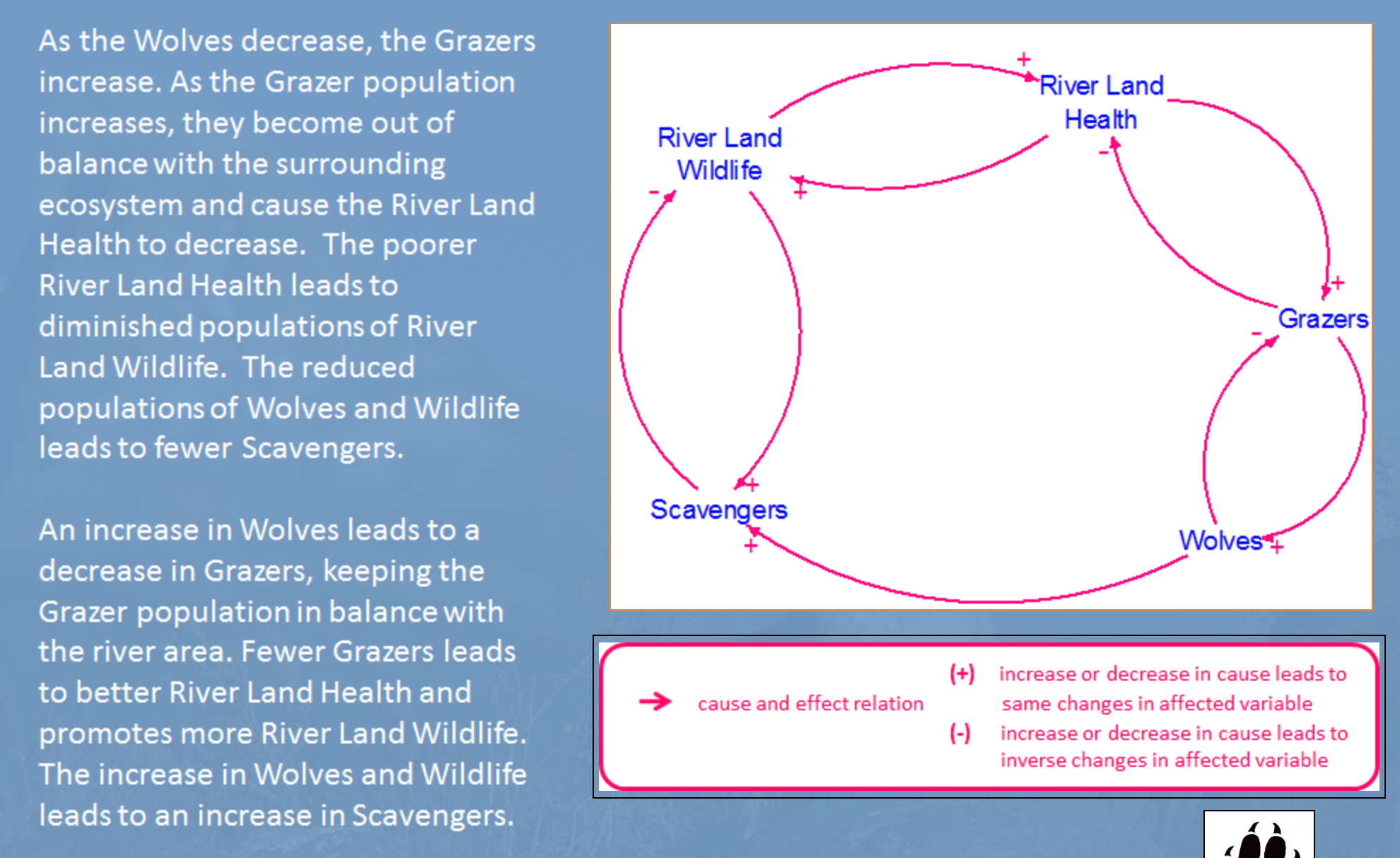 Solved What Happens When We Remove A Keystone Species?A | Chegg.com