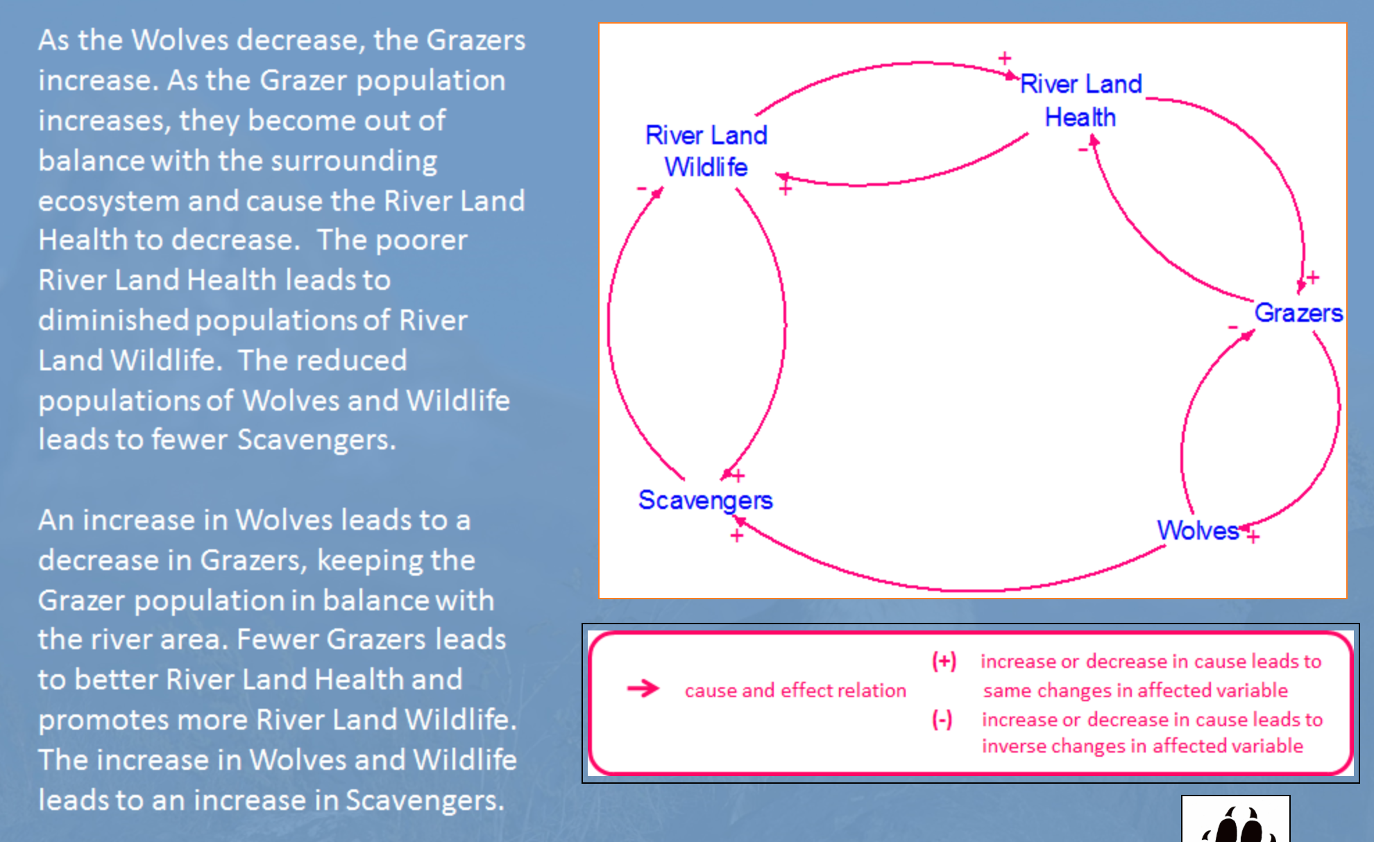 Grounded - The preservation of keystone species is a fundamental part of  solving the climate crisis and restoring a healthy environment. A keystone  species defines an entire ecosystem, and the loss of