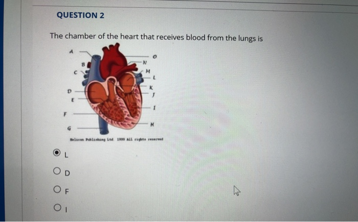 an upper chamber of the heart which receives blood is known as