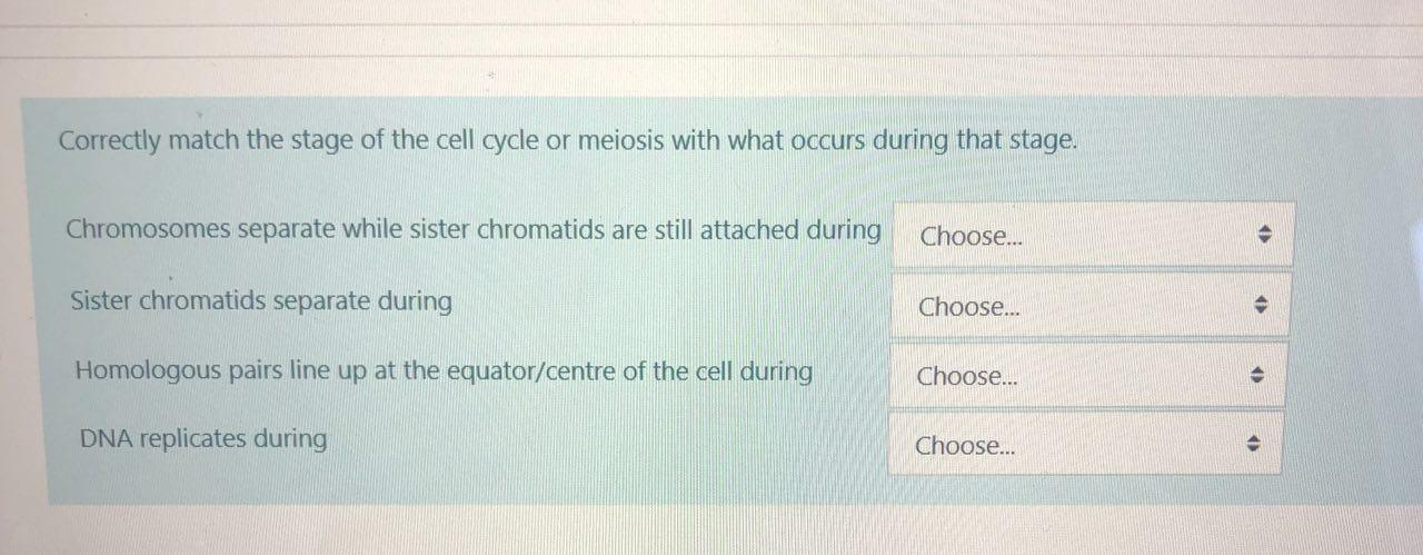 Solved Correctly match the stage of the cell cycle or | Chegg.com