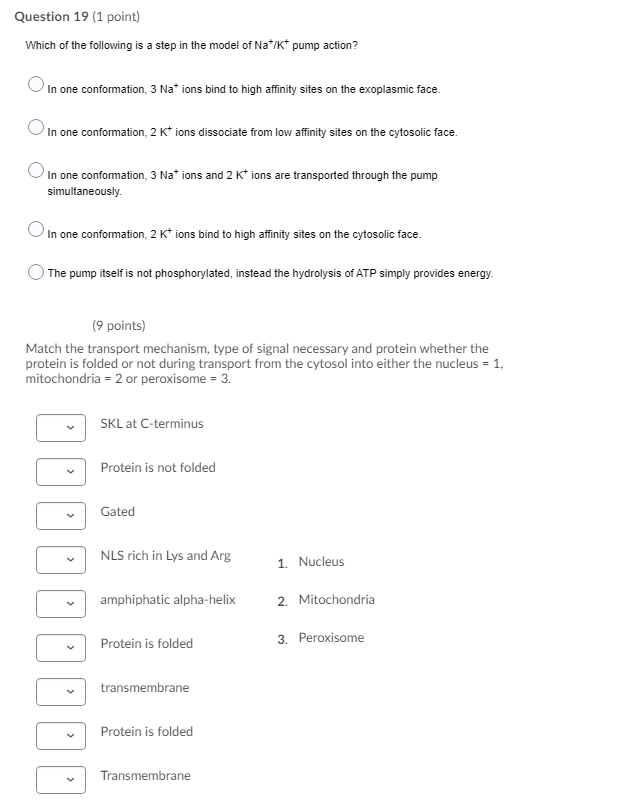 Solved Question 19 (1 point) Which of the following is a | Chegg.com