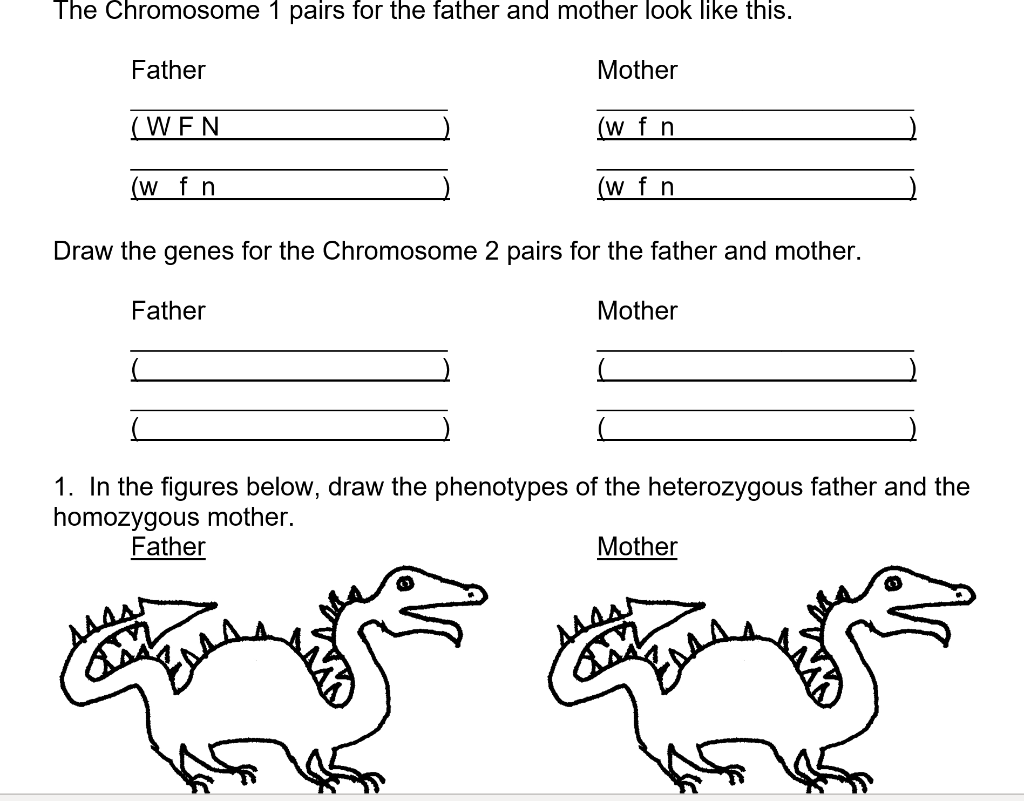 Solved -- Inheritance Of Genes Which Are Close Together On | Chegg.com