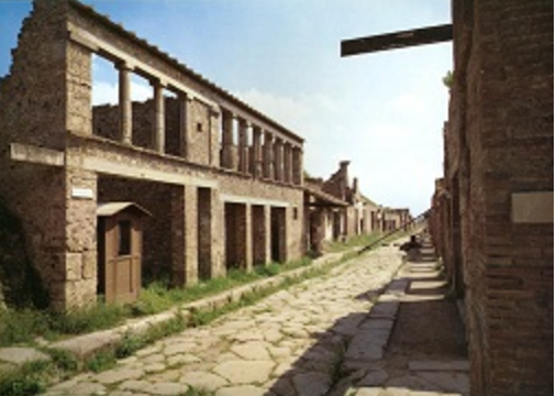 Lifestyles of the Rich and Famous: Houses and Villas at Pompeii 