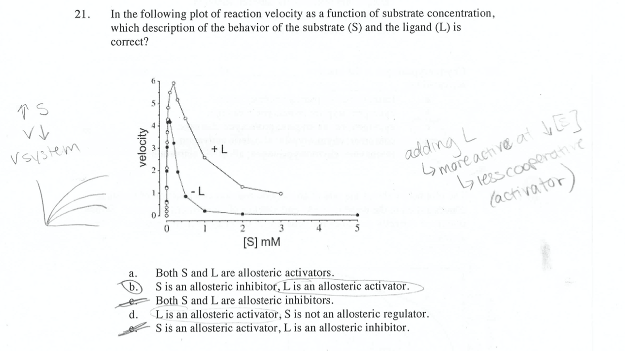 Solved In the following plot of reaction velocity as a | Chegg.com